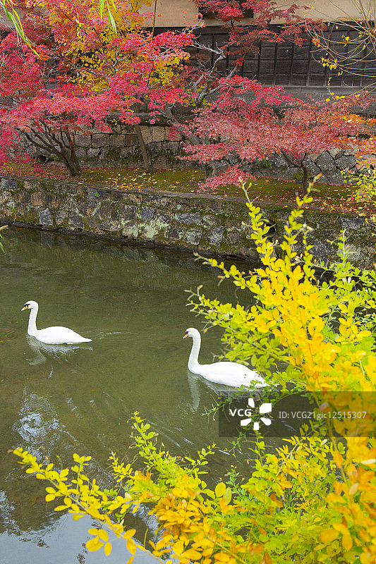 仓敷美观地区图片素材