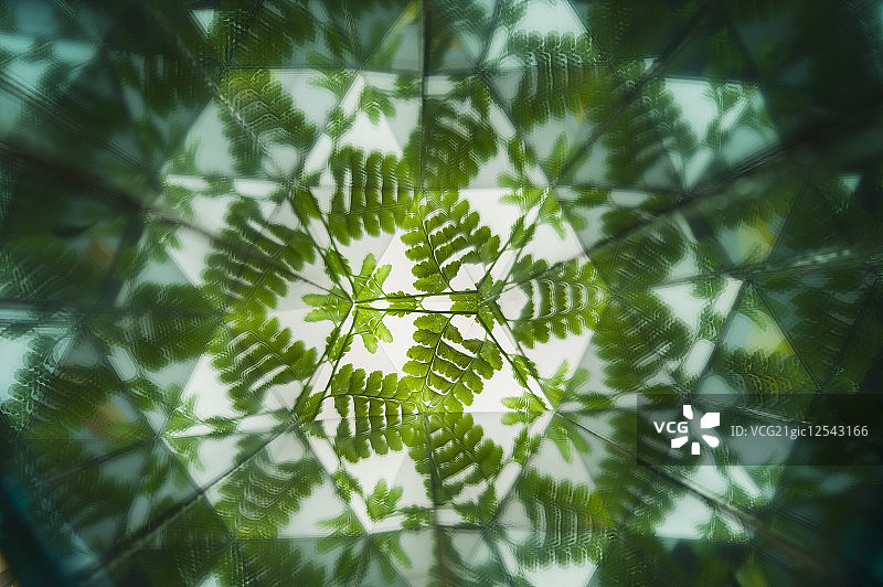 万花筒,抽象,图片素材