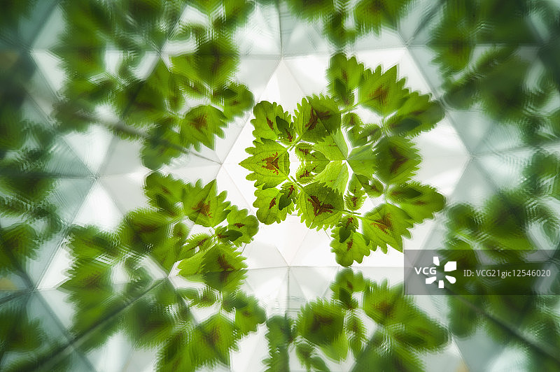 万花筒,抽象,图片素材