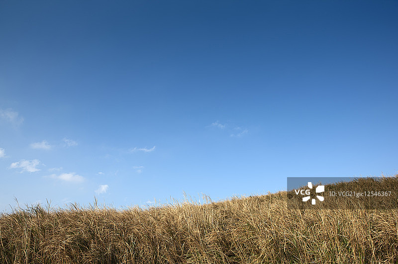 大屯山自然公园,阳明山公园,阳明山,台北，中国台湾，亚洲,图片素材