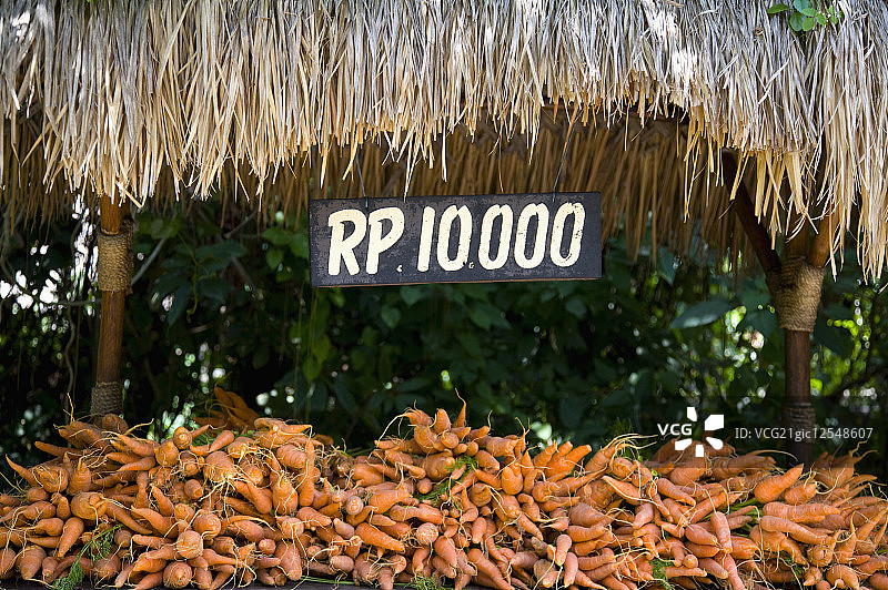 巴里岛,红萝卜,图片素材