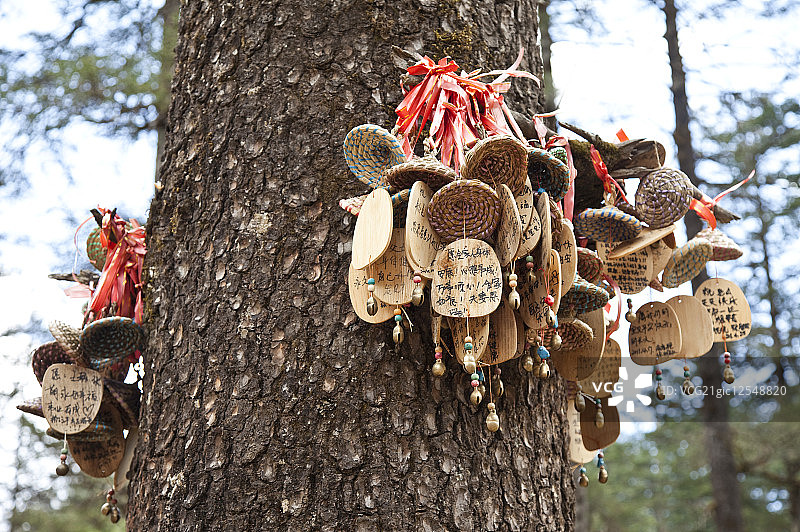 丽江,云南省,中国,亚洲,云杉坪 ,祈福,图片素材