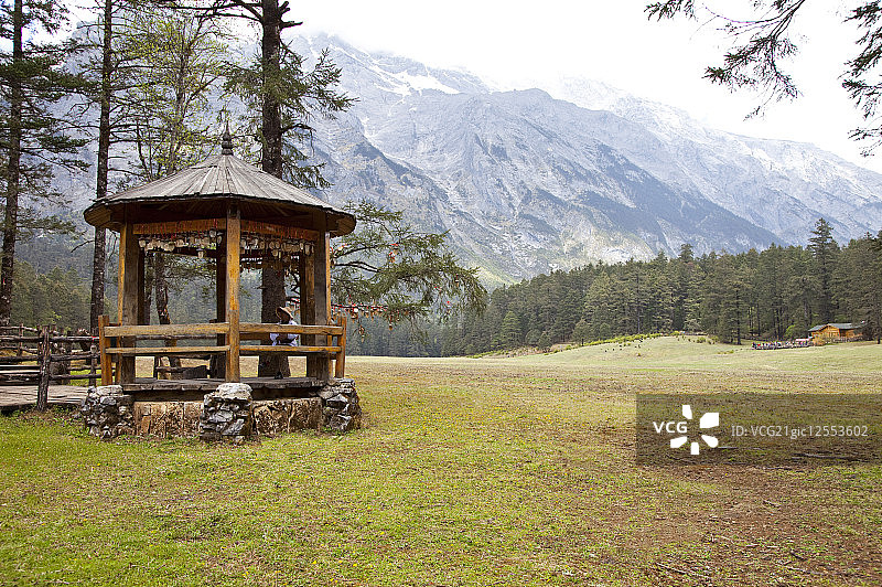 丽江,云南省,中国,亚洲,云杉坪 ,图片素材
