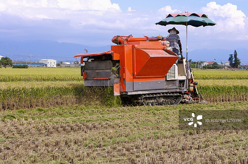 稻田,现代农业图片素材