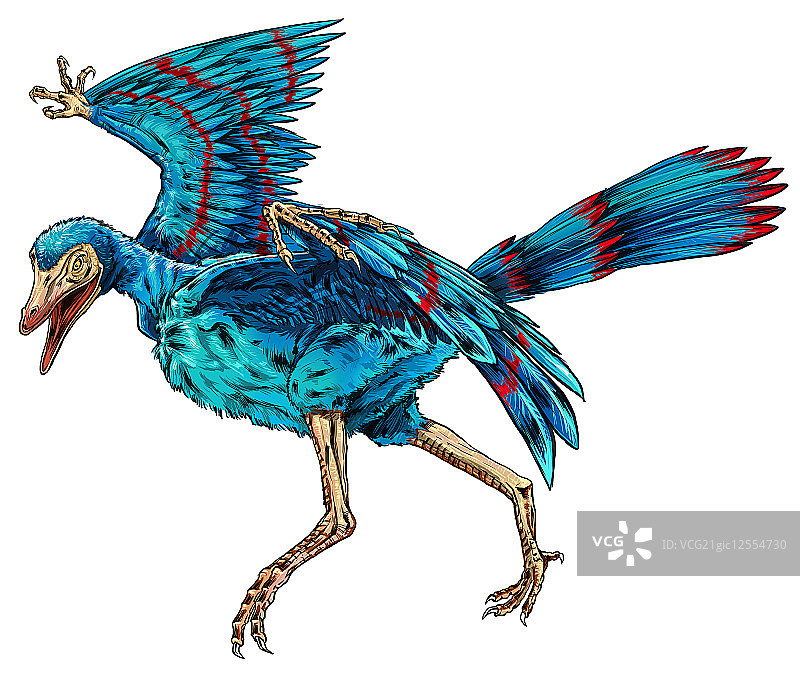 恐龙,始祖鸟,图片素材