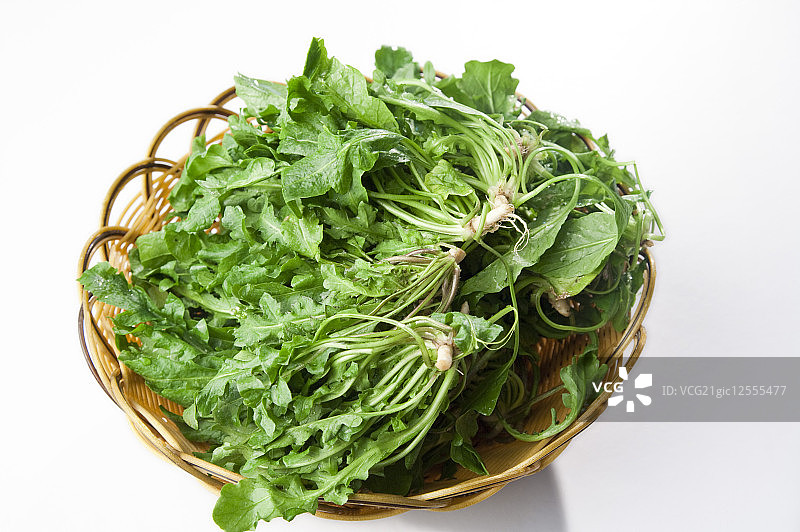 荠菜,地菜,蔬菜,图片素材