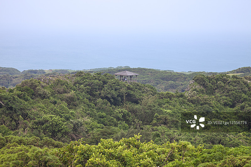 垦丁,屏东,台湾,亚洲,社顶,公园,图片素材