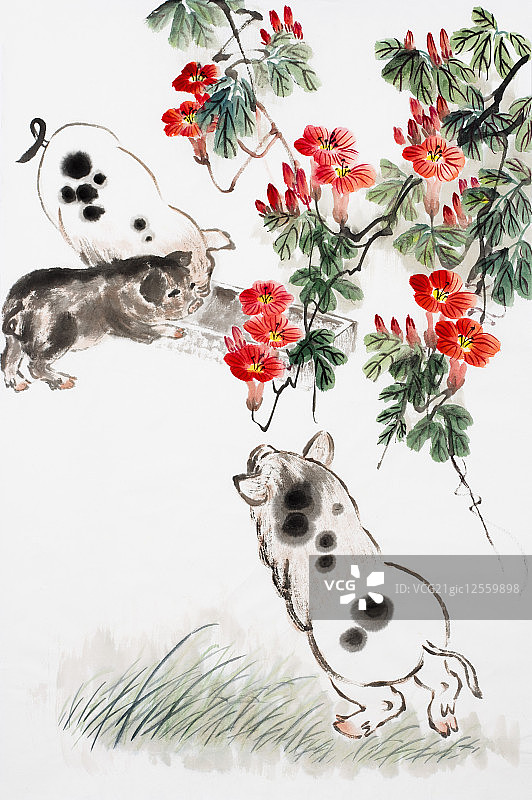国画,猪年图片素材
