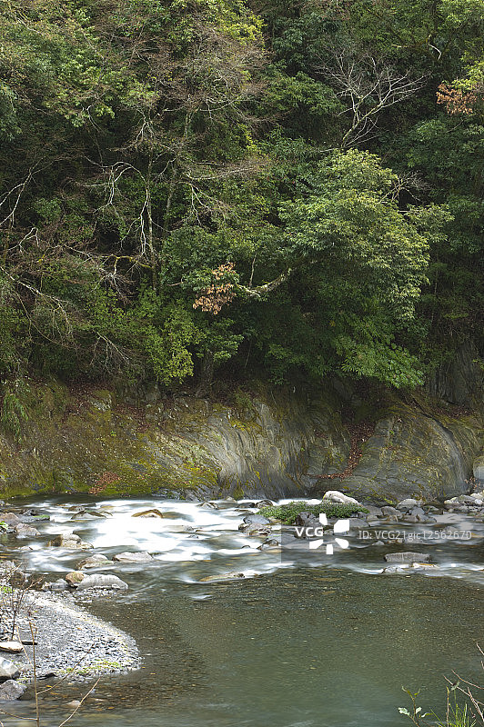 七家湾溪,武陵农场,雪霸公园,公园,台中，中国台湾，亚洲图片素材