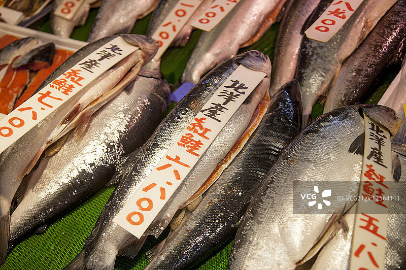 食物,红鲑,鱼类,图片素材