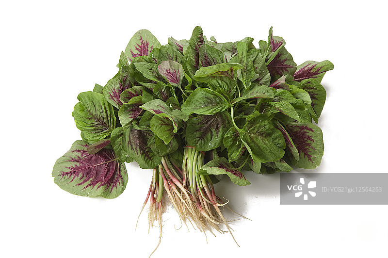 苋菜,蔬菜,图片素材