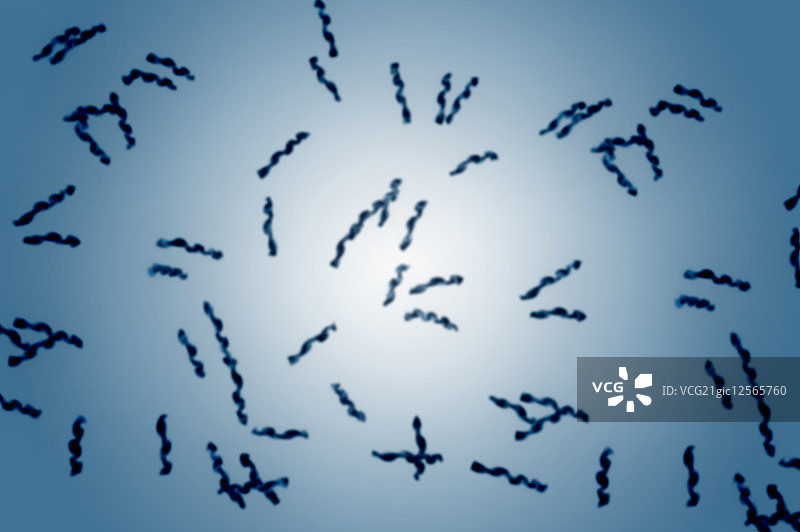 病菌,插画图片素材