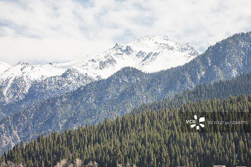 天山,天池,新疆维吾尔自治区,中国,亚洲,山脉,图片素材