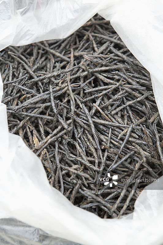 苦丁茶,广西壮族自治区,中国,图片素材