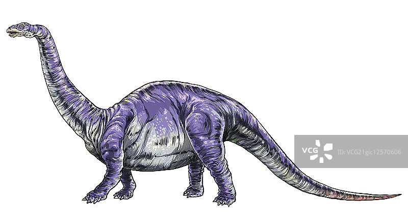 恐龙,雷龙,图片素材