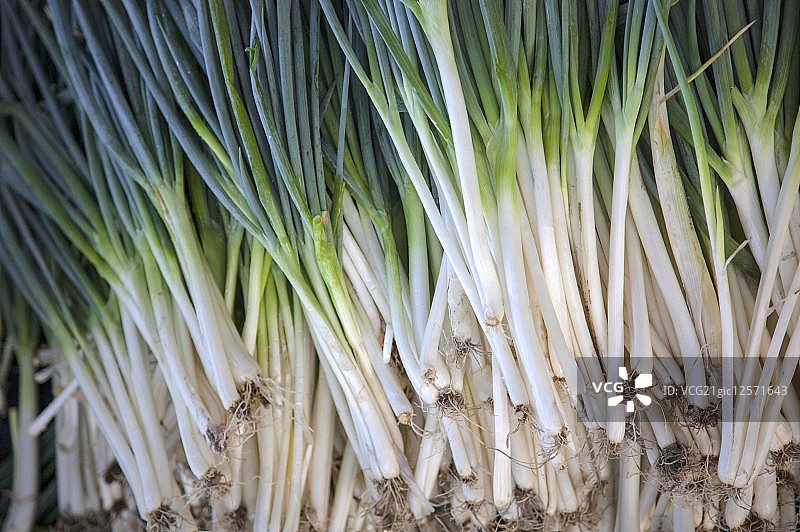葱,三星葱,宜兰,台湾,亚洲,图片素材