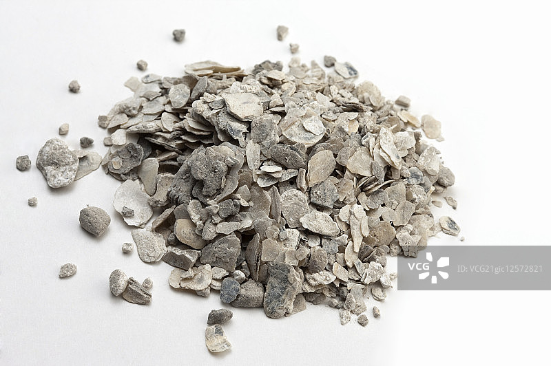 中药,牡蛎图片素材