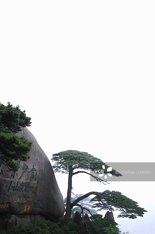 中国,安徽省,黄山,迎客松图片素材