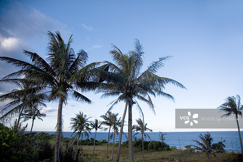 亚洲,台湾,屏东,恒春镇,垦丁,夏天图片素材