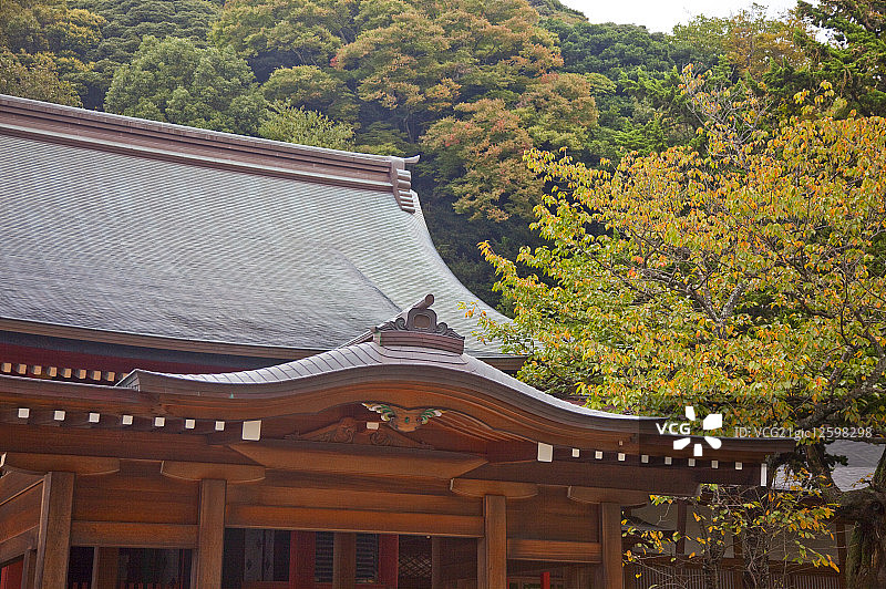 鹤冈八幡宫,鎌仓市,神奈川县,日本,亚洲,图片素材