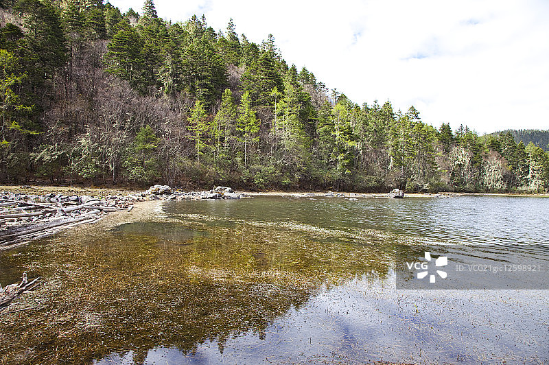 亚洲,中国,云南省,香格里拉,碧塔海,普达措国家公园,图片素材