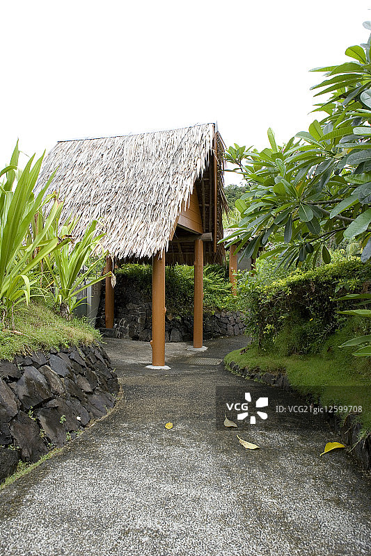 茅屋屋顶,图片素材