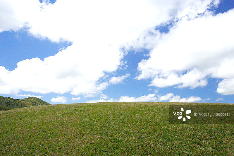阳明山的草原,图片素材