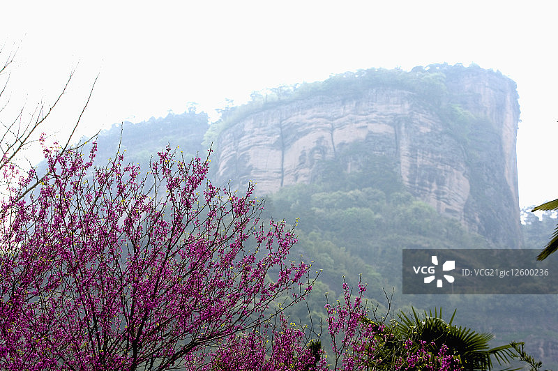 亚洲,中国,福建,世界遗产,世界文化遗产,世界自然遗产,武夷山,九曲溪风景区,大王峰图片素材