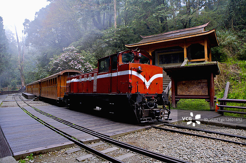 中国台湾,嘉义,阿里山风景区,神木车站,图片素材