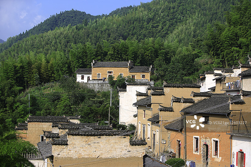 中国,安徽省,木坑竹海,竹坑,黄山风景区,竹子图片素材