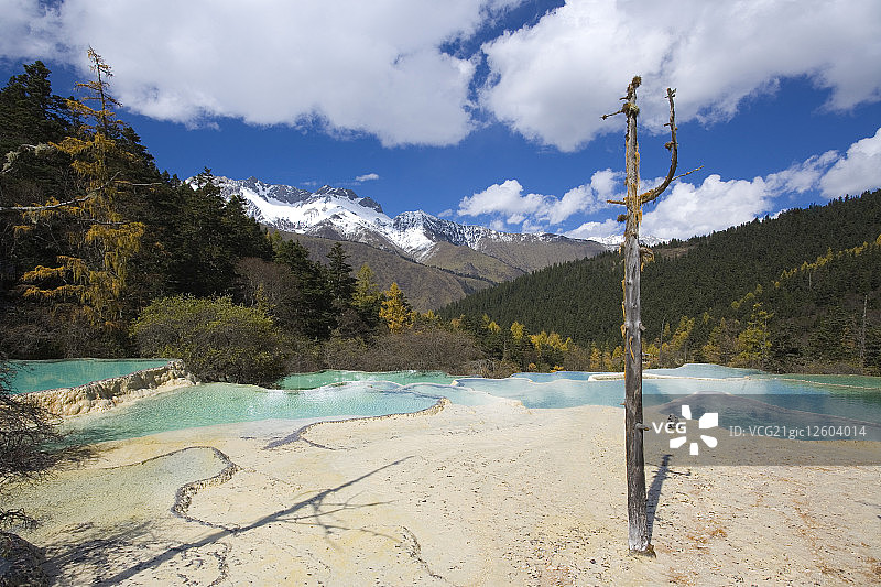 中国,四川省,阿坝藏族羌族自治州,阿坝州,松潘县,黄龙,争艳池图片素材