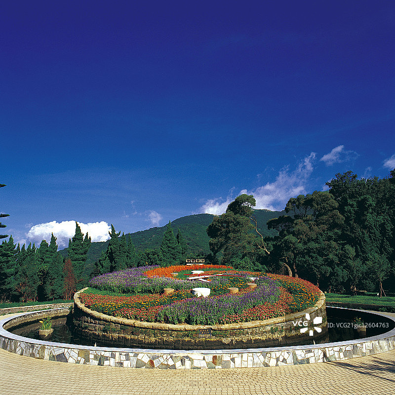 阳明山花钟图片素材