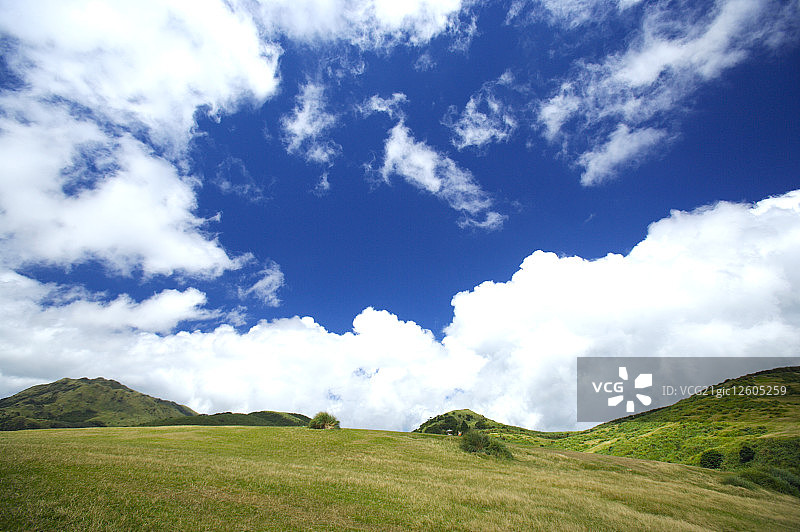 阳明山山顶的草原,图片素材