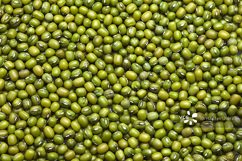 绿豆,图片素材