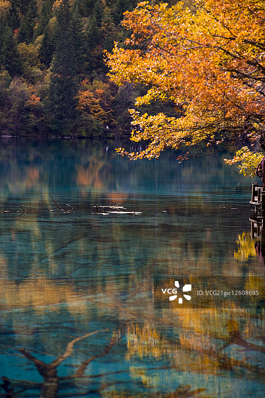 秋天,湖泊,图片素材