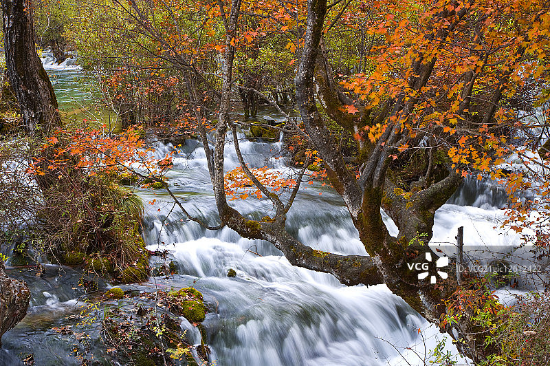 中国,四川省,九寨沟,树正瀑布,图片素材