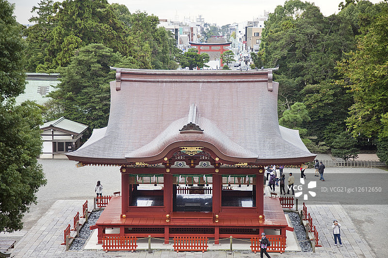 鹤冈八幡宫,鎌仓市,神奈川县,日本,亚洲,图片素材
