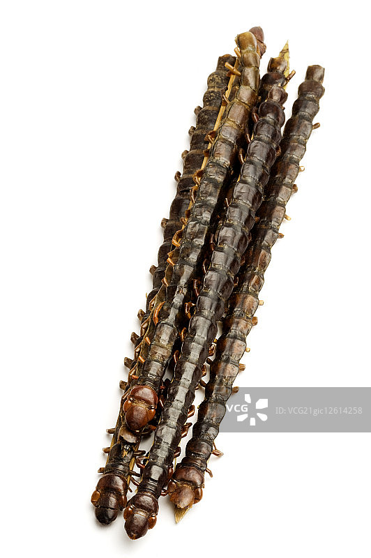 蜈蚣,蜈蚣干,中药,图片素材