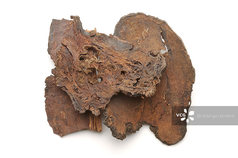 何首乌,中药图片素材