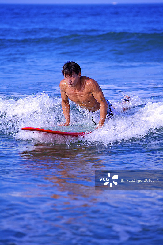 冲浪,体育活动,运动图片素材