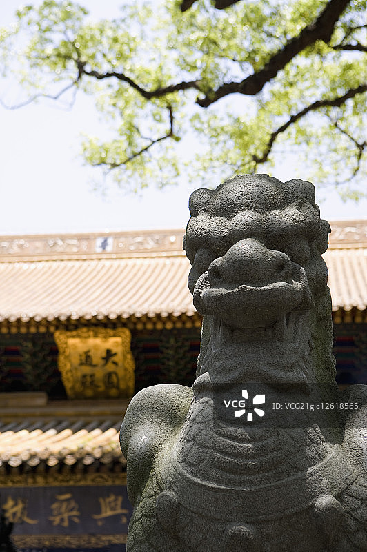 中国,浙江,普陀山,大圆通殿,普济禅寺,普济寺景区图片素材