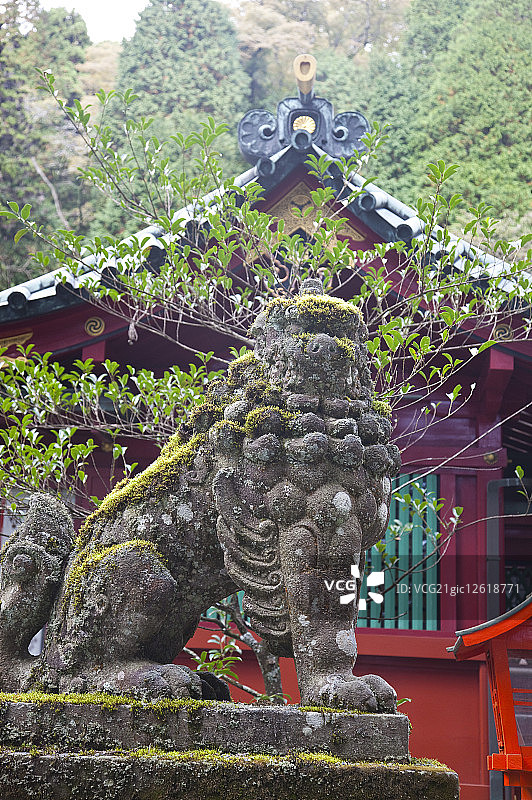 箱根神社,箱根,神奈川县,日本,石狮,亚洲,图片素材