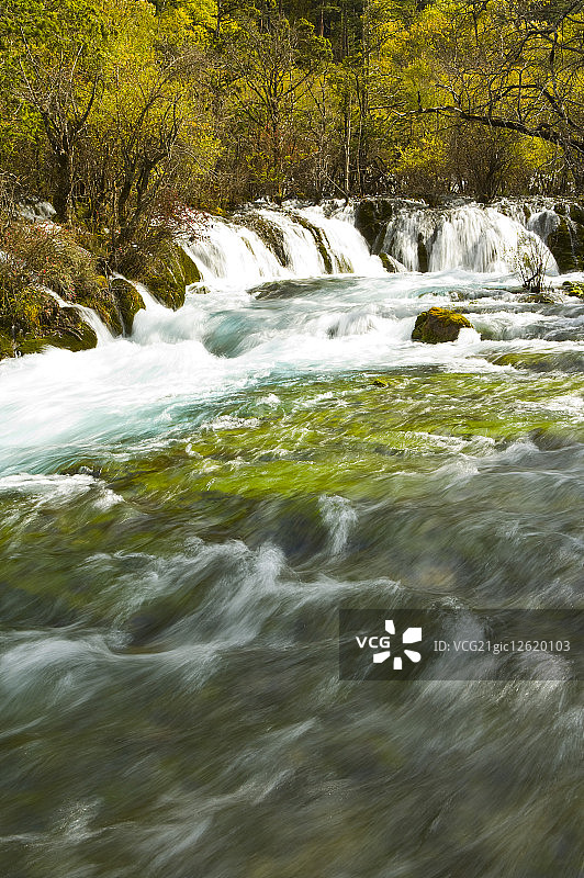 中国,四川省,九寨沟,树正瀑布,图片素材