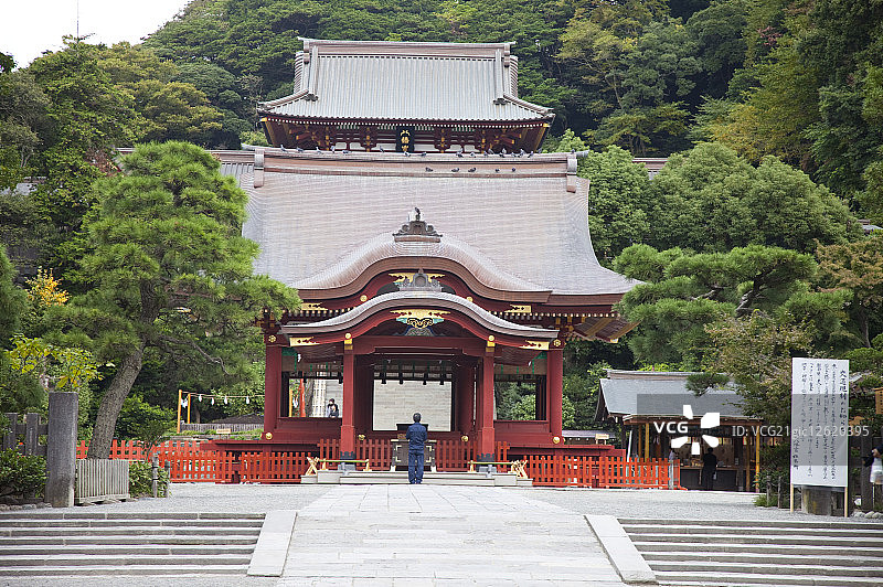鹤冈八幡宫,鎌仓市,神奈川县,日本,亚洲,图片素材