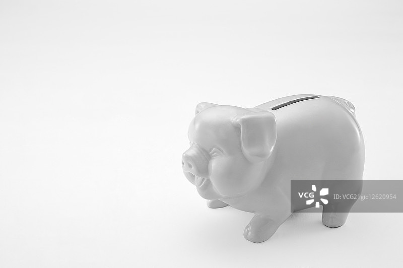 小猪扑满图片素材