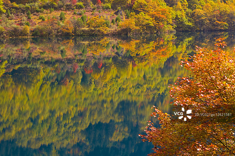 中国,四川省,九寨沟,犀牛海,图片素材