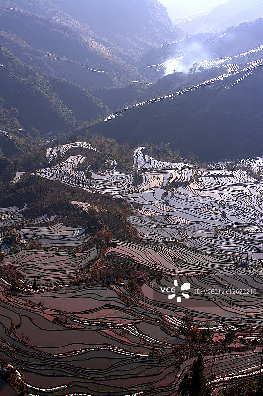 中国,云南省,梯田,元阳,老虎嘴图片素材