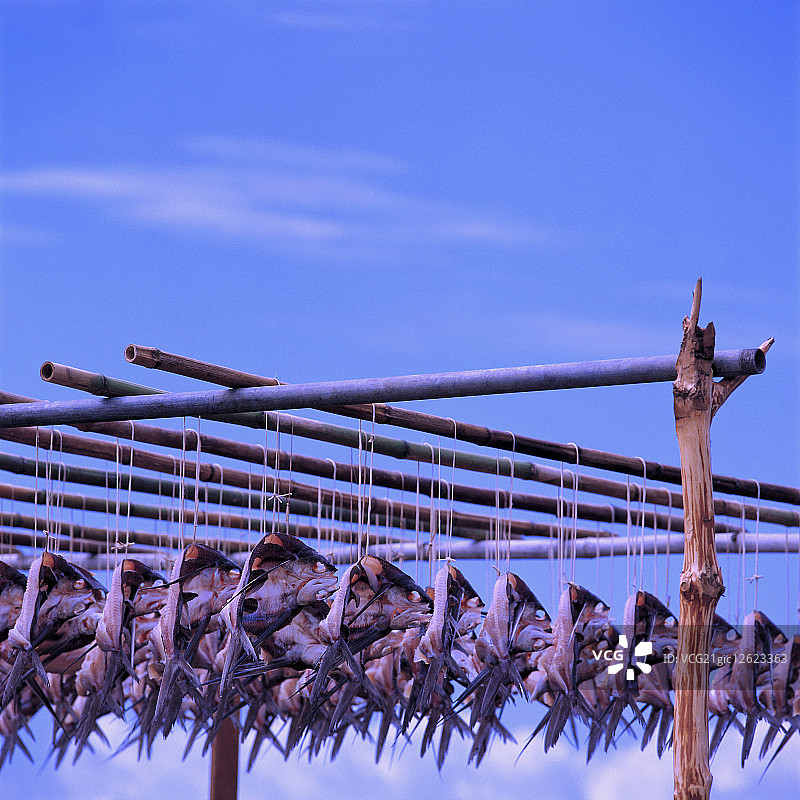 亚洲,台湾,兰屿,飞鱼季,图片素材