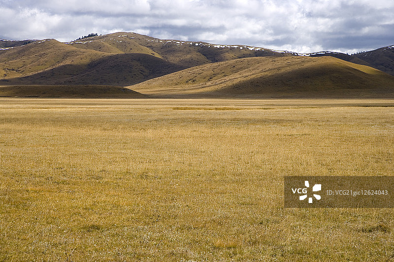 中国,四川省,若尔盖草原,图片素材
