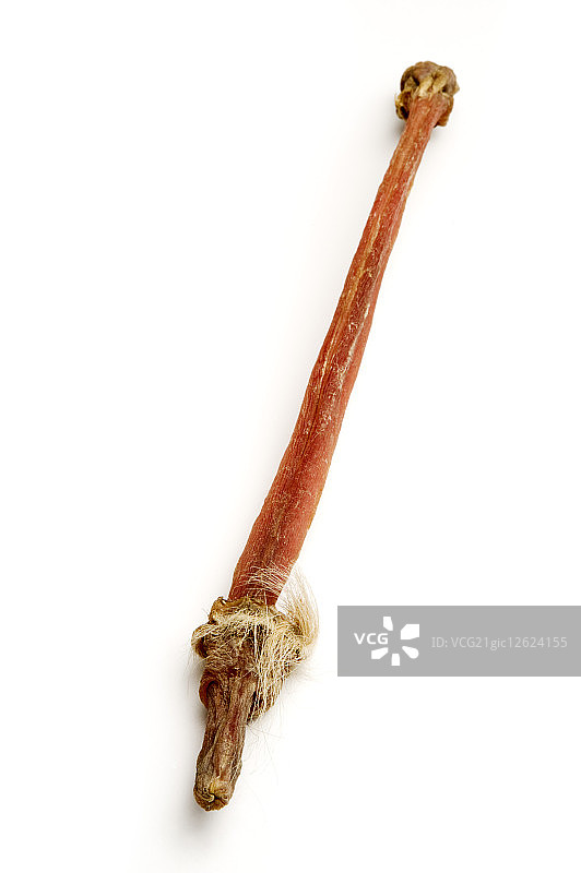 鹿鞭,中药,图片素材